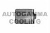 AUTOGAMMA 101767 Heat Exchanger, interior heating
